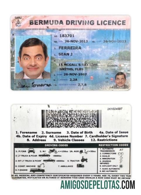 Carta de condução das Bermudas modelo